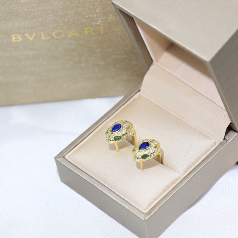 Bottega VENENTA Earrings